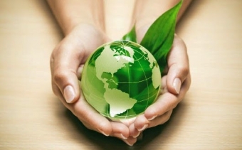 Planeta ecologico.